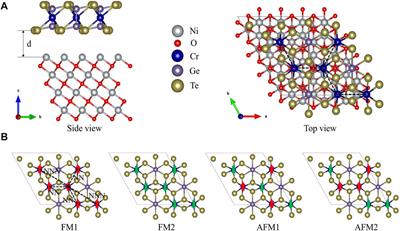 First-Principles Calculations of the Exchange Interaction of the CrGeTe3/NiO Interface